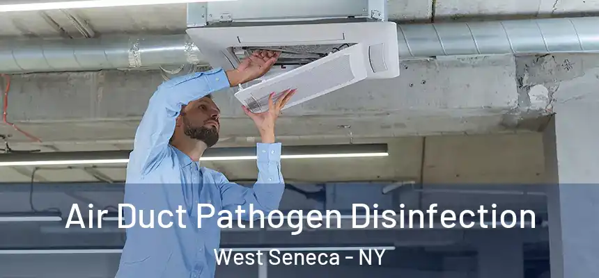  Air Duct Pathogen Disinfection West Seneca - NY