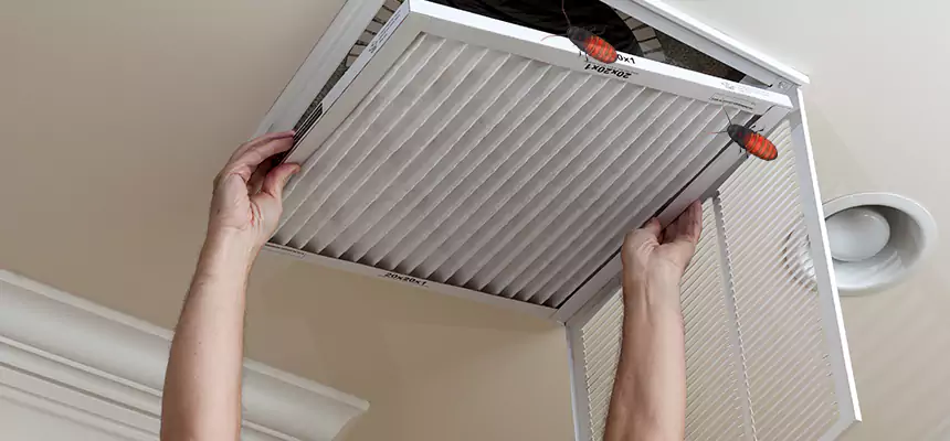 Preventive Cockroach-Proofing for Ducts in West Seneca