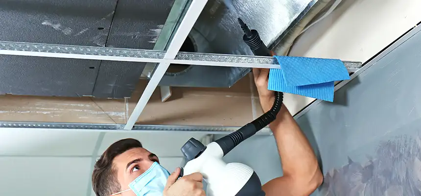 Our Air Duct Rodent Removal Services in West Seneca, NY