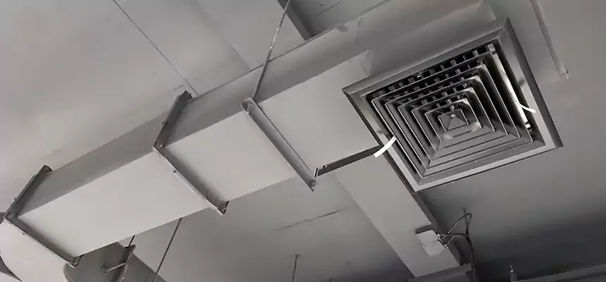 Restorative Allergy Relief Vent Cleaning – Coil, Blower & Housing Detail in West Seneca