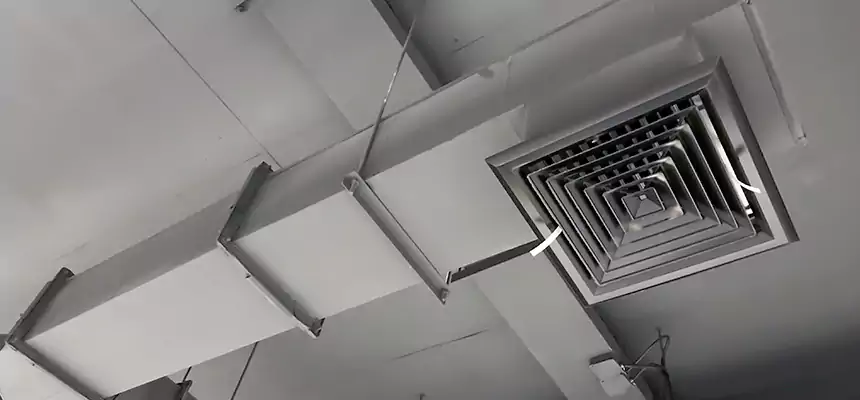 Our Rodent Droppings In Vents Services in West Seneca, NY