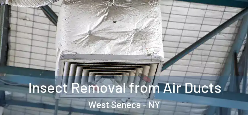  Insect Removal from Air Ducts West Seneca - NY