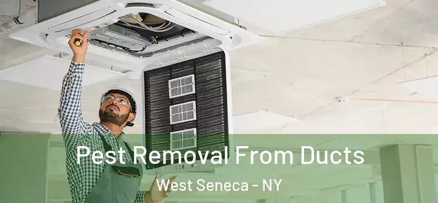  Pest Removal From Ducts West Seneca - NY