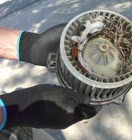 About Air Duct Rat Removal in West Seneca, NY