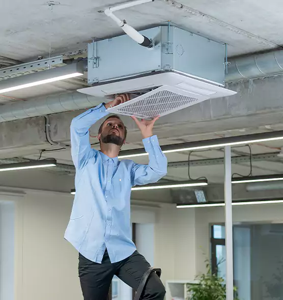 Advanced Rodent Droppings In Vents in West Seneca, NY
